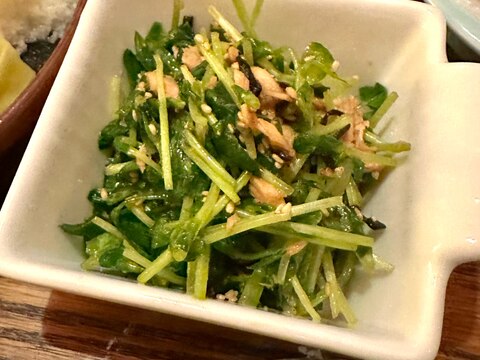 簡単調理!豆苗と塩昆布のあっさりツナサラダ